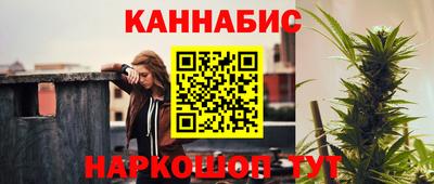 индика Усть-Илимск